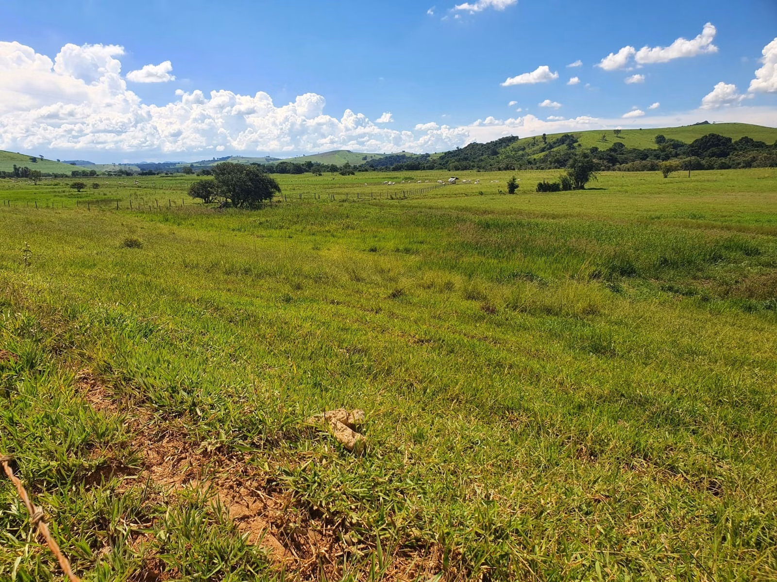 Farm of 576 acres in Itajubá, MG, Brazil