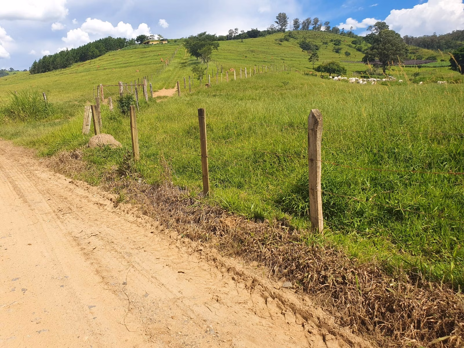 Farm of 576 acres in Itajubá, MG, Brazil