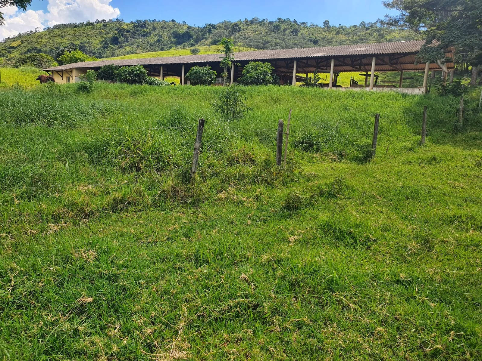 Farm of 576 acres in Itajubá, MG, Brazil