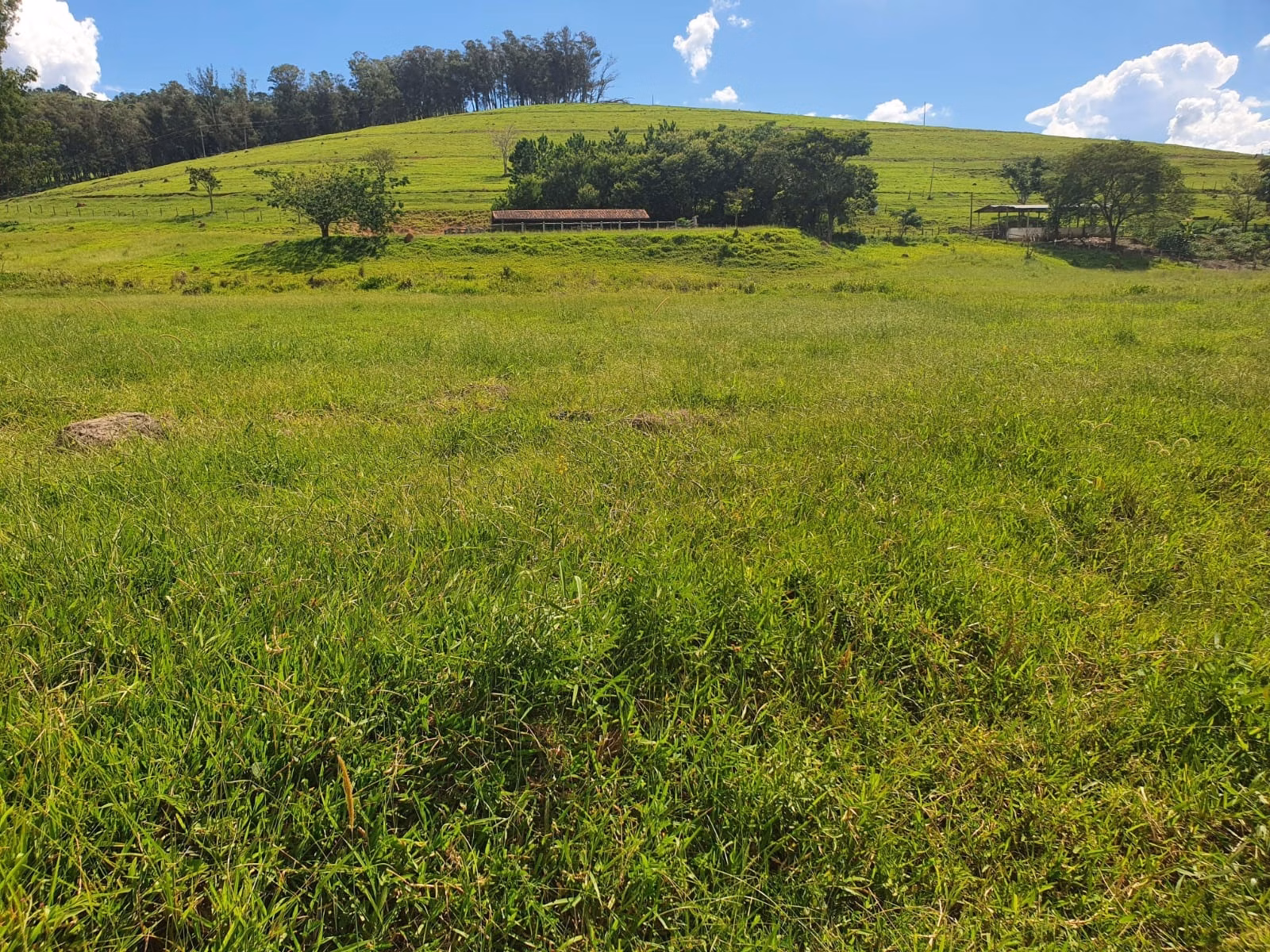 Farm of 576 acres in Itajubá, MG, Brazil