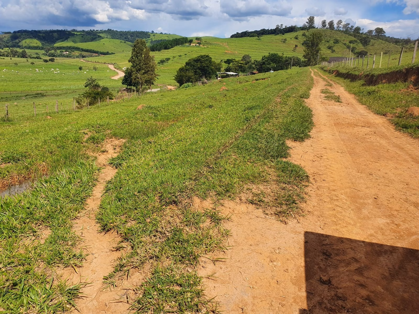 Farm of 576 acres in Itajubá, MG, Brazil
