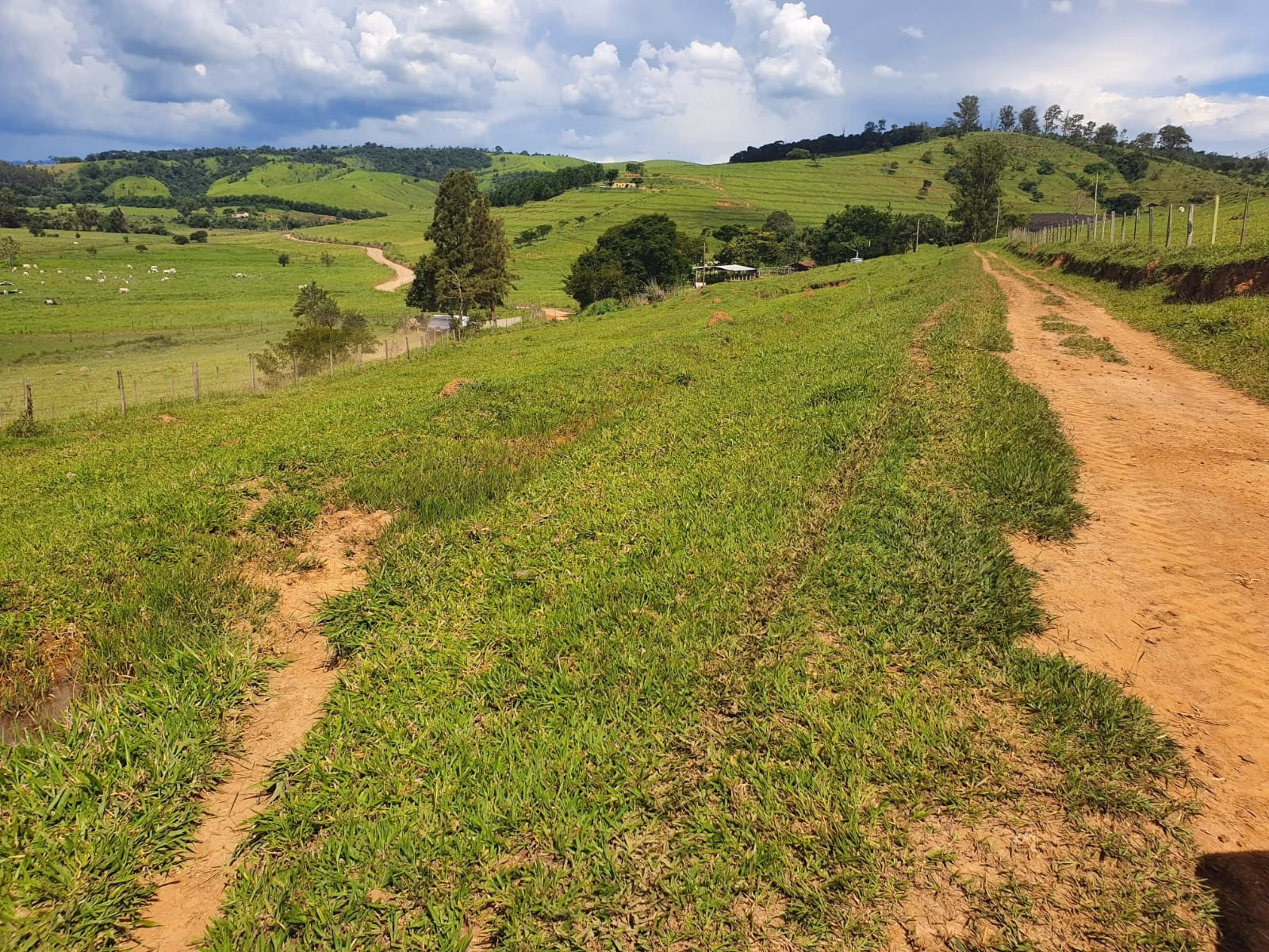 Farm of 576 acres in Itajubá, MG, Brazil