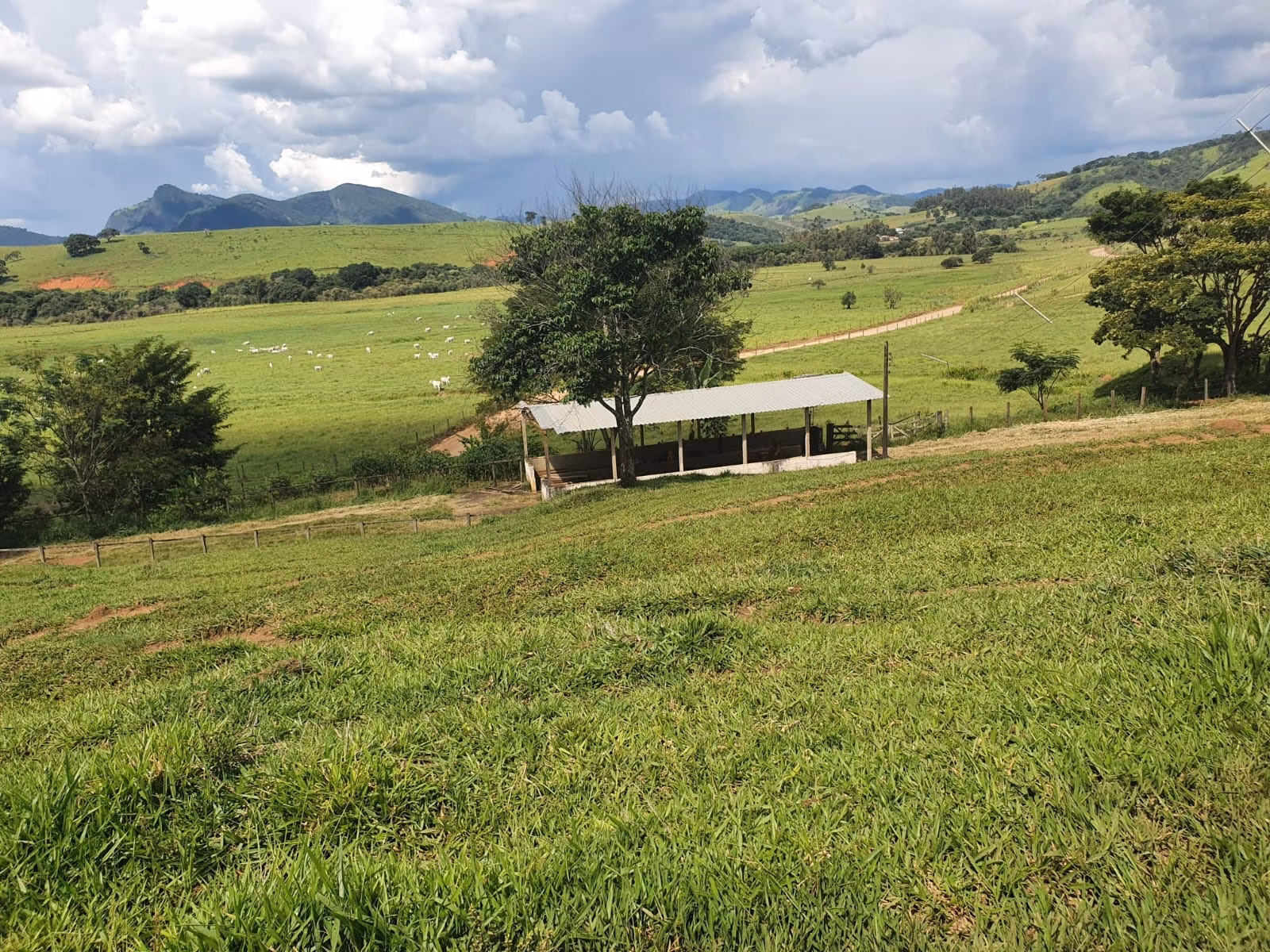Farm of 576 acres in Itajubá, MG, Brazil