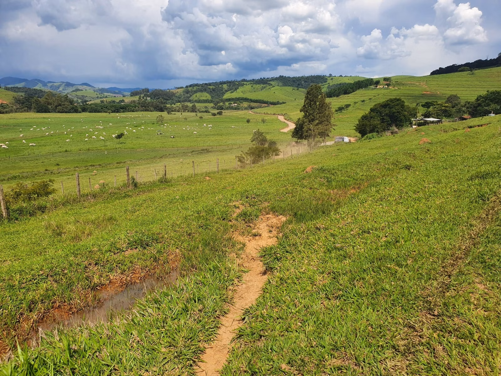 Farm of 576 acres in Itajubá, MG, Brazil