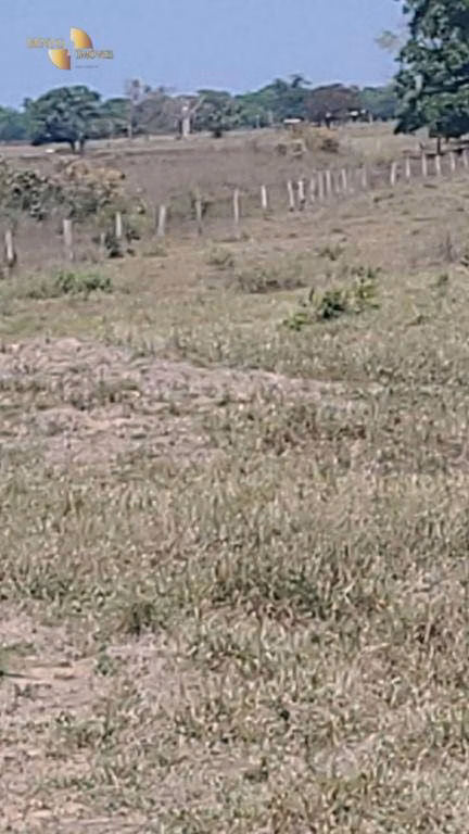 Fazenda de 1.975 ha em Barão de Melgaço, MT