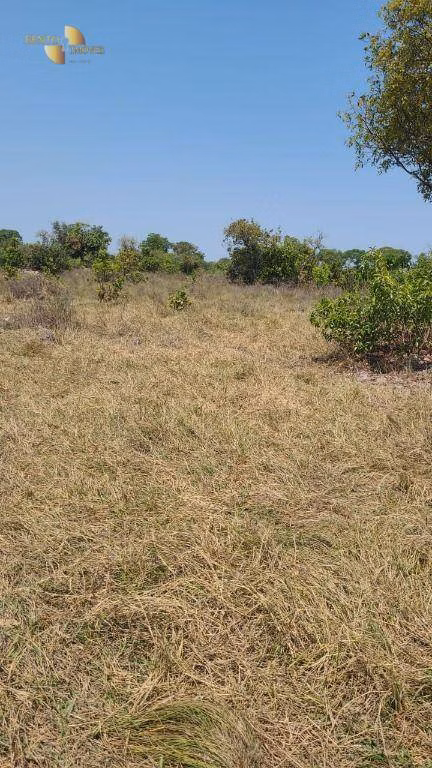 Fazenda de 1.975 ha em Barão de Melgaço, MT