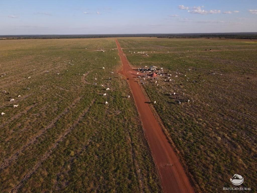Fazenda de 33.000 ha em Confresa, MT