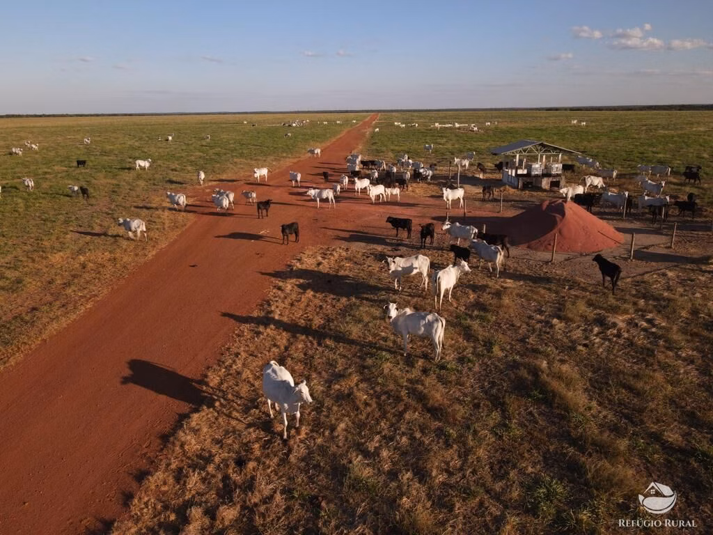 Fazenda de 33.000 ha em Confresa, MT