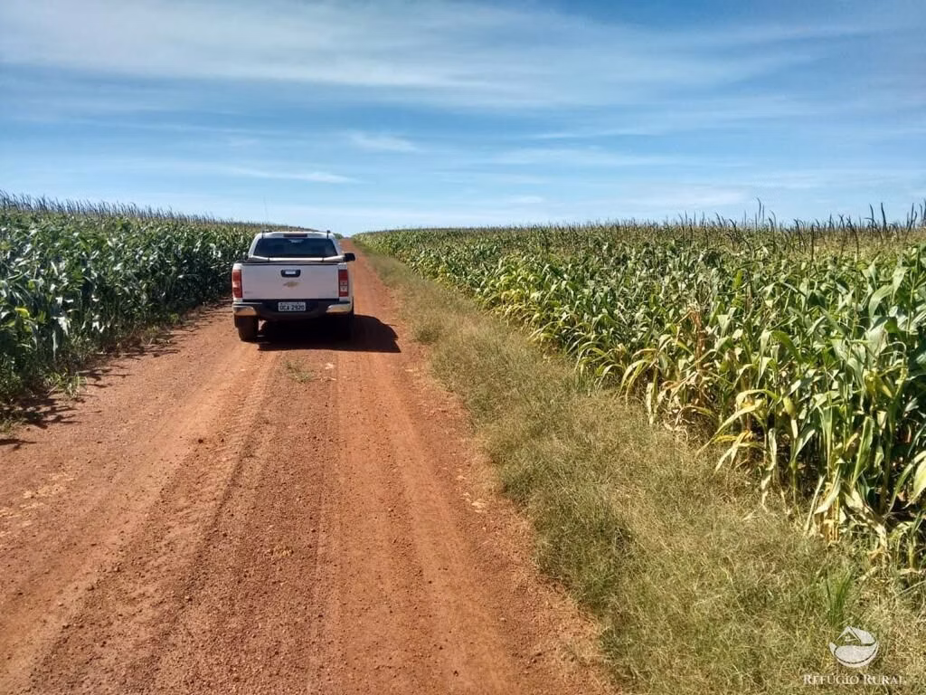Fazenda de 33.000 ha em Confresa, MT