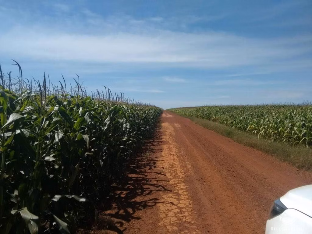 Fazenda de 33.000 ha em Confresa, MT