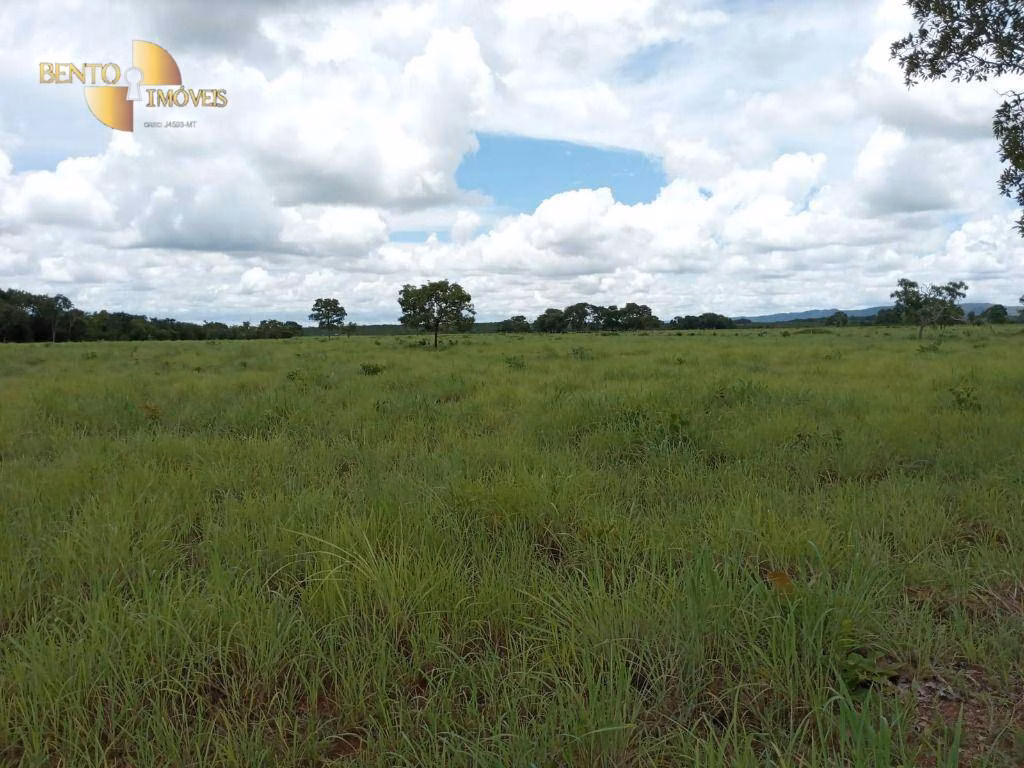 Farm of 3,805 acres in Rosário Oeste, MT, Brazil