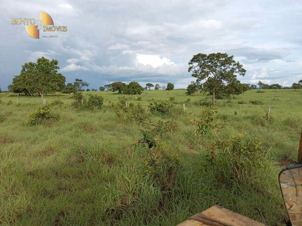 Farm of 3,805 acres in Rosário Oeste, MT, Brazil