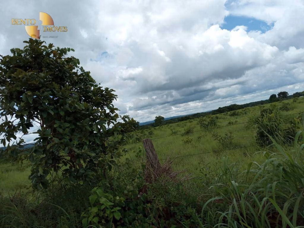 Farm of 3,805 acres in Rosário Oeste, MT, Brazil