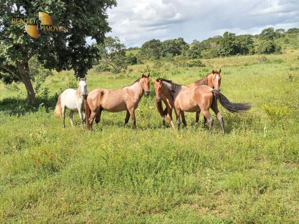 Farm of 3,805 acres in Rosário Oeste, MT, Brazil