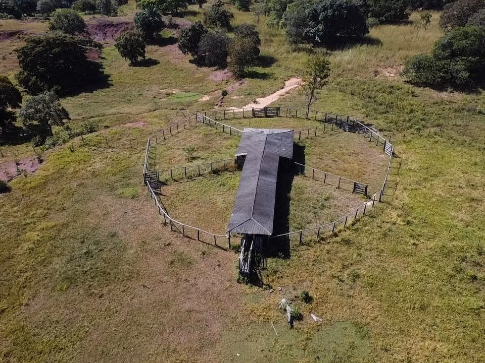 Fazenda à venda de 572 ha em Babaçulândia, TO