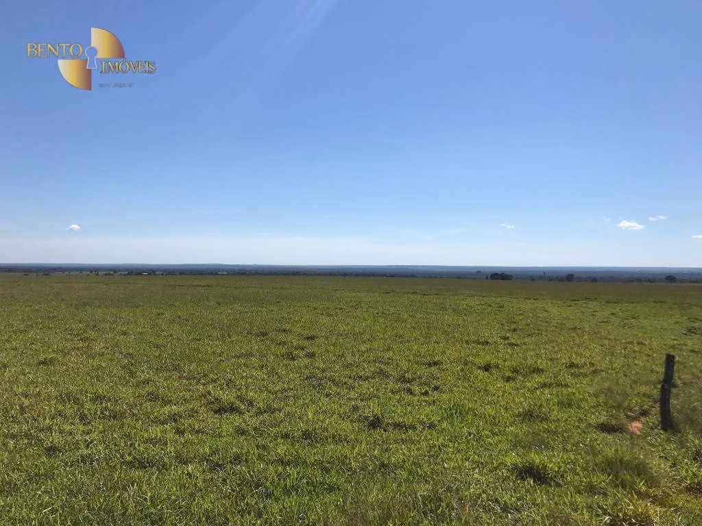 Fazenda de 21.100 ha em Diamantino, MT
