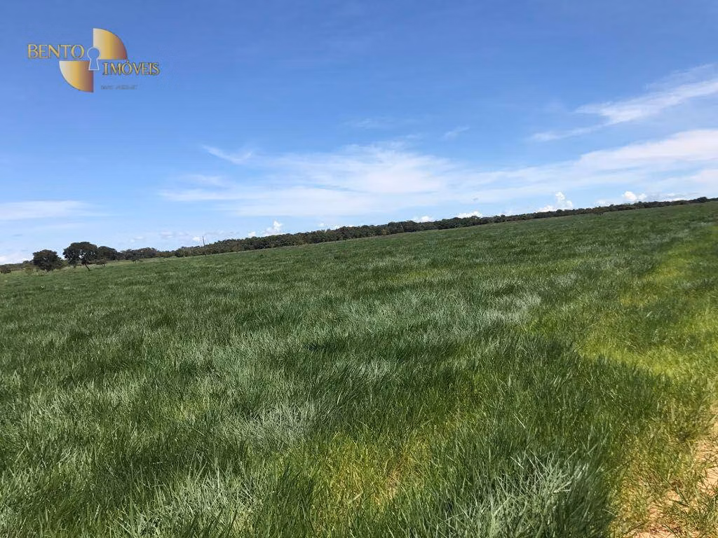 Farm of 52.139 acres in Diamantino, MT, Brazil