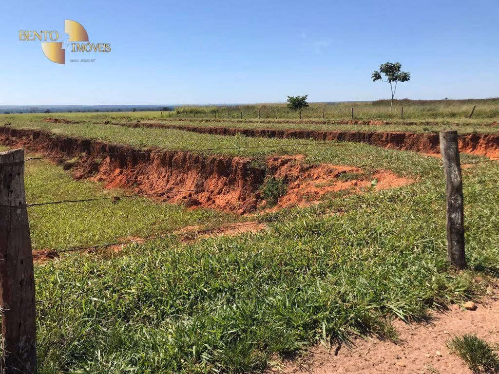 Fazenda de 21.100 ha em Diamantino, MT