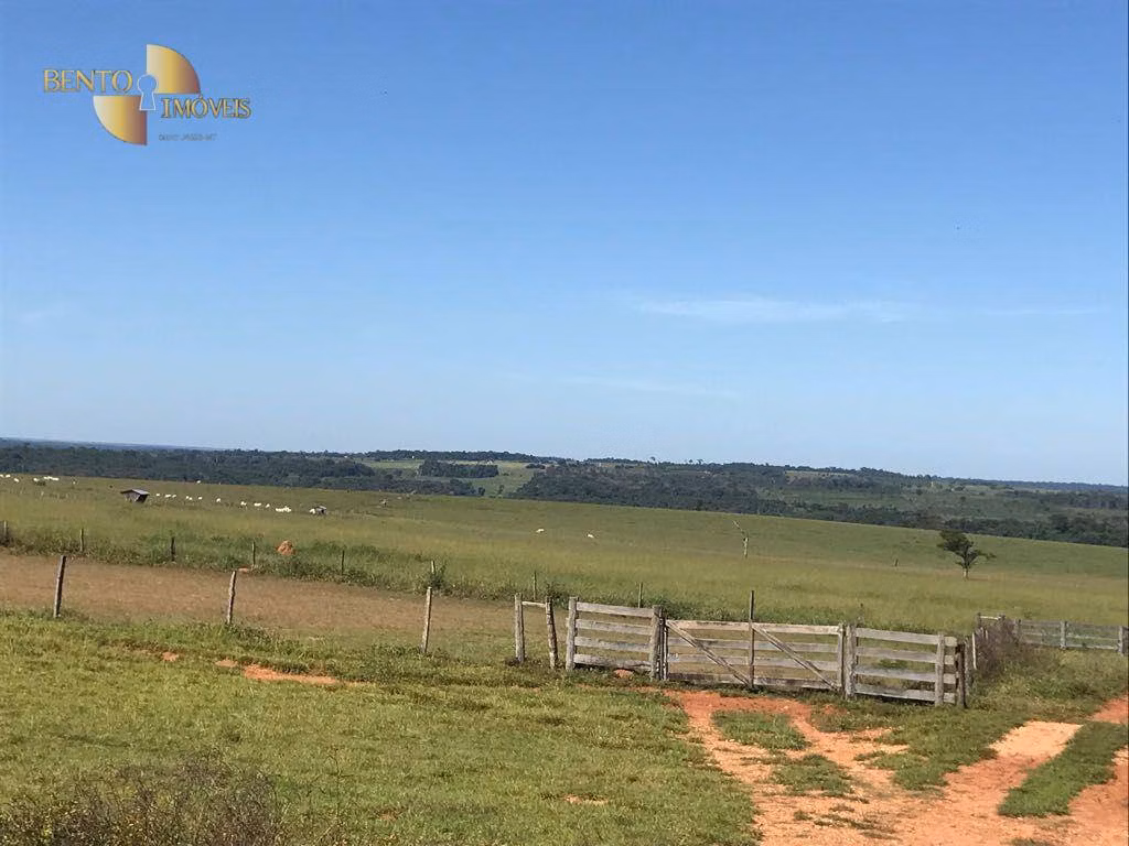 Fazenda de 21.100 ha em Diamantino, MT