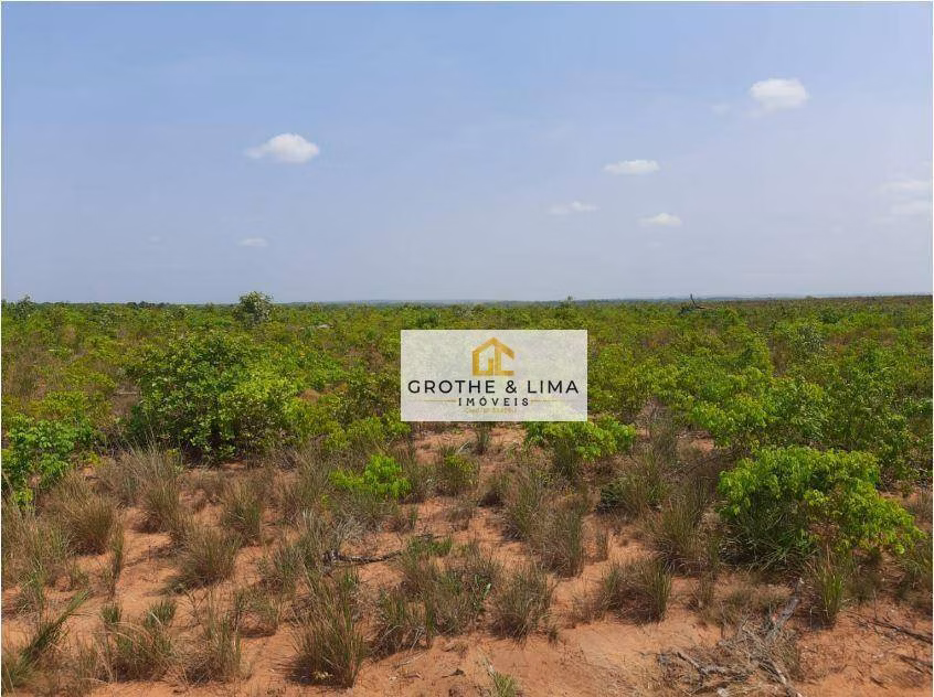 Fazenda de 2.420 ha em Araguaína, TO