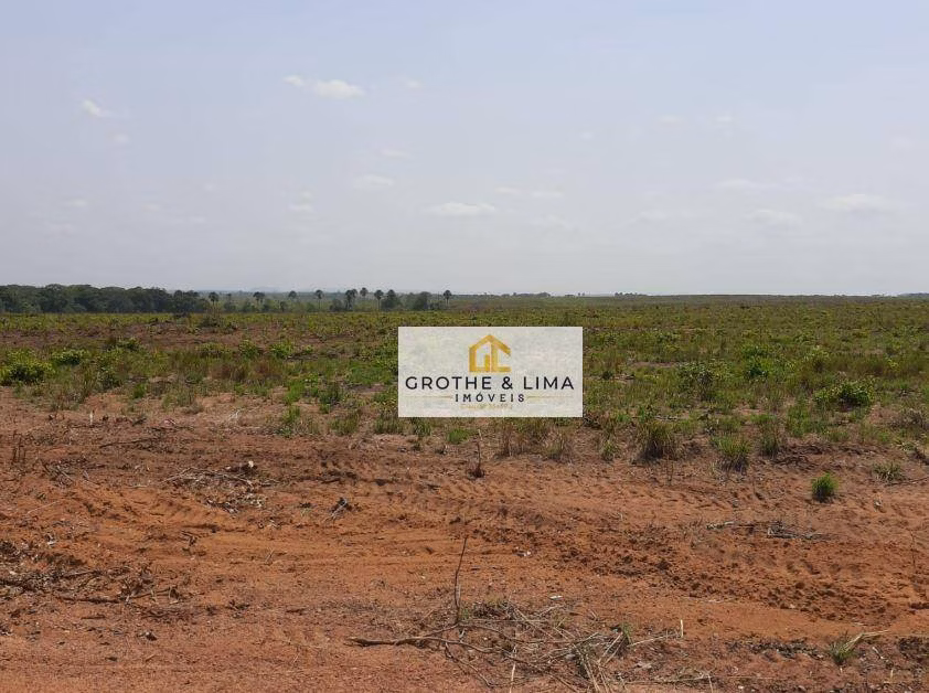 Fazenda de 2.420 ha em Araguaína, TO