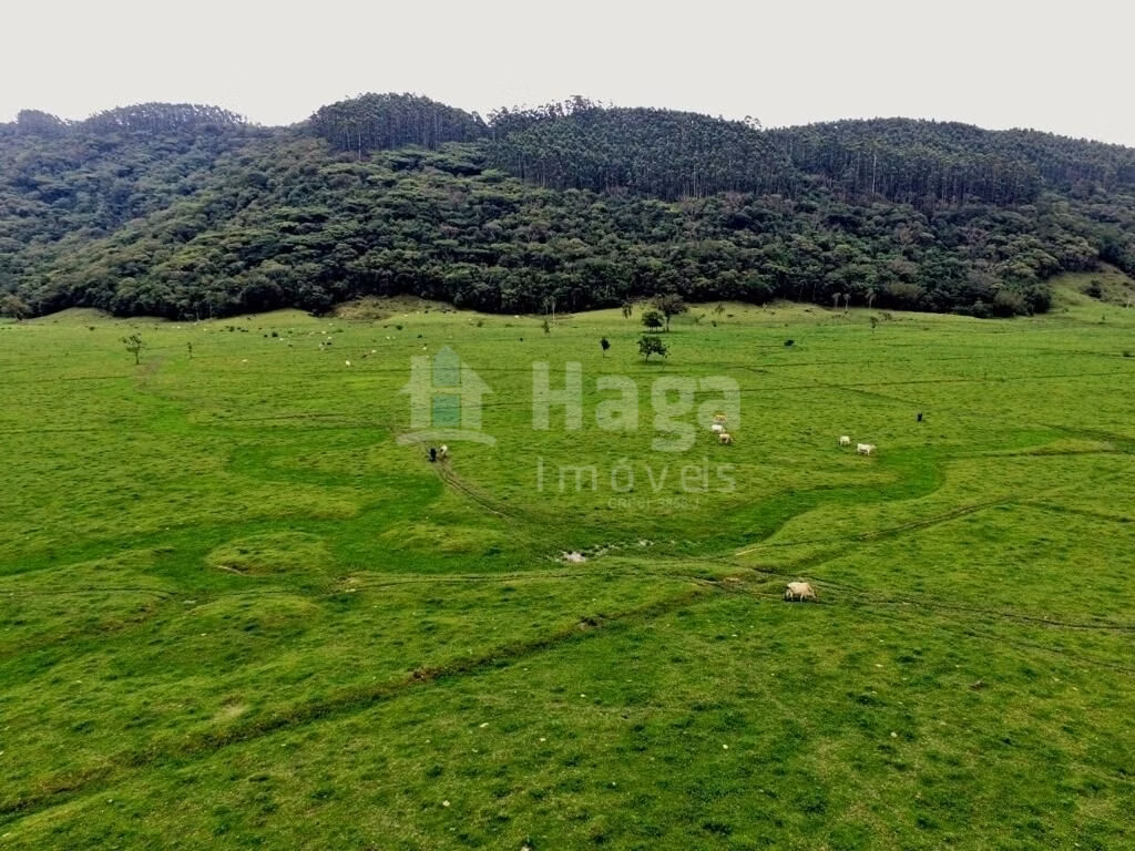 Farm of 91 acres in Tijucas, SC, Brazil