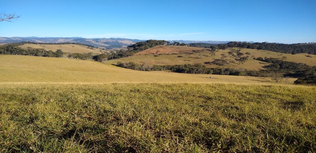 Fazenda de 250 ha em Ouro Fino, MG
