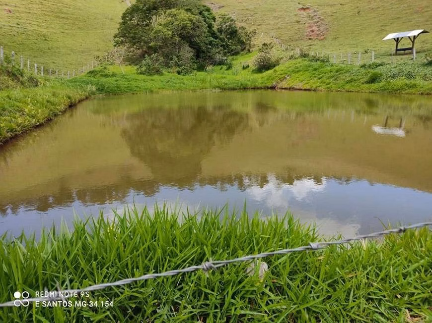 Fazenda de 250 ha em Ouro Fino, MG