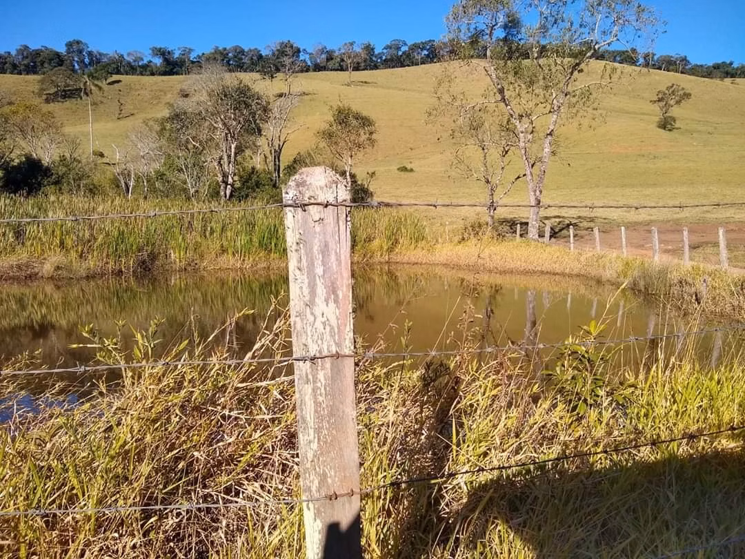 Fazenda de 250 ha em Ouro Fino, MG