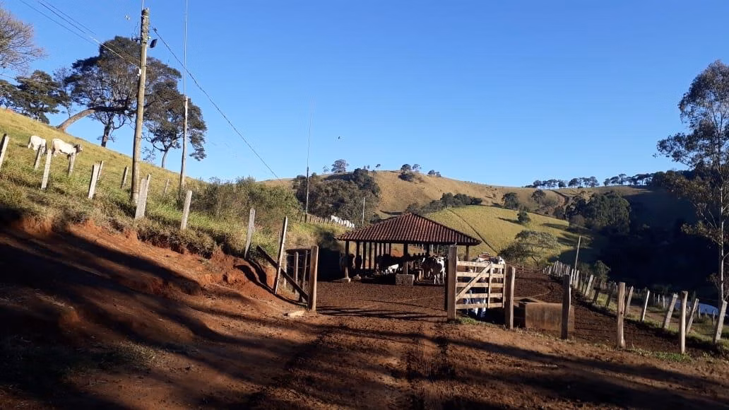 Fazenda de 250 ha em Ouro Fino, MG
