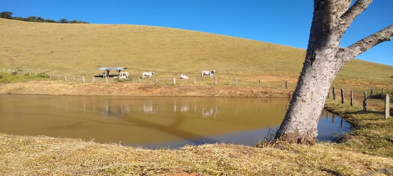 Fazenda de 250 ha em Ouro Fino, MG