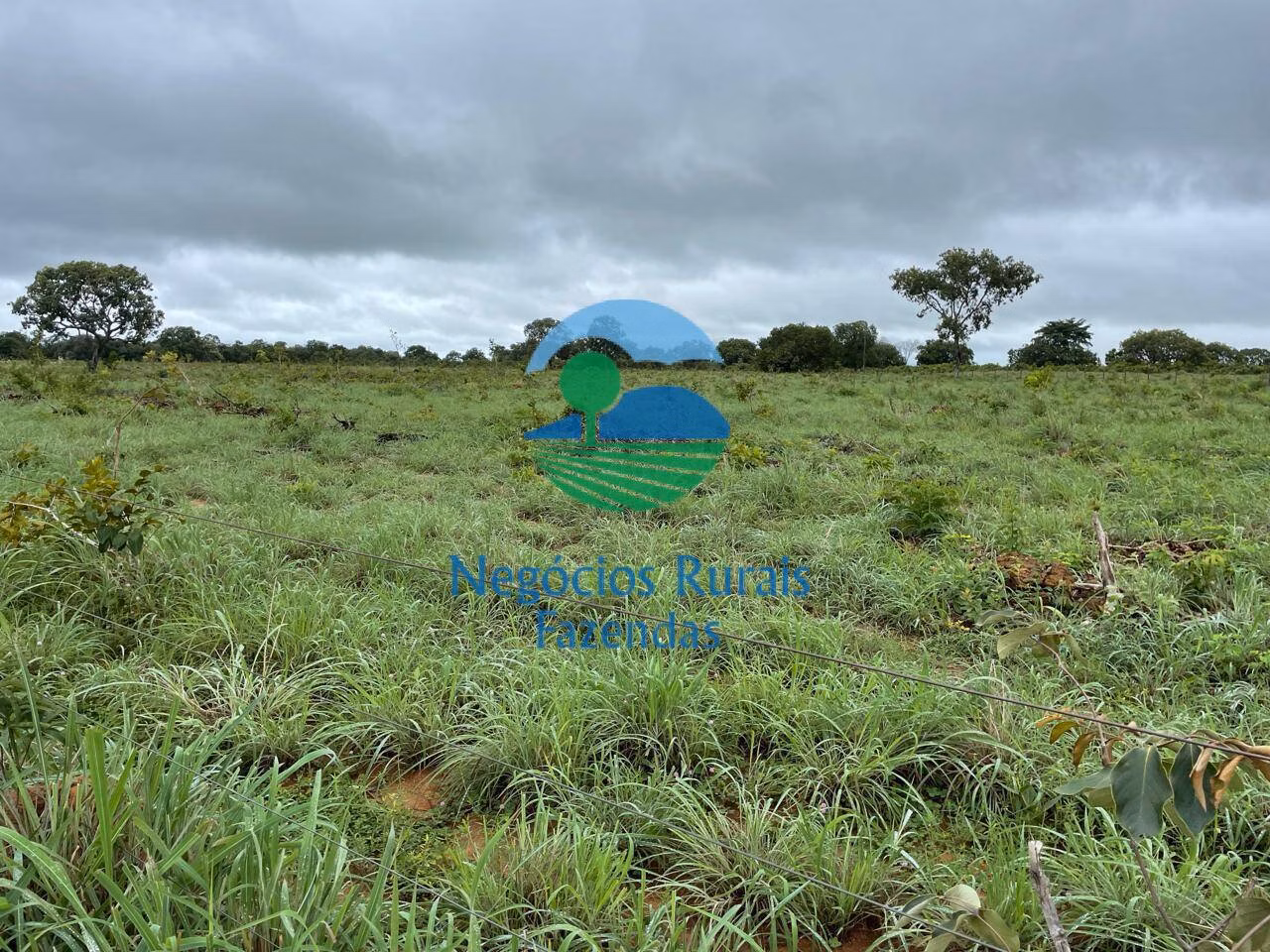 Fazenda de 1.258 ha em Peixe, TO