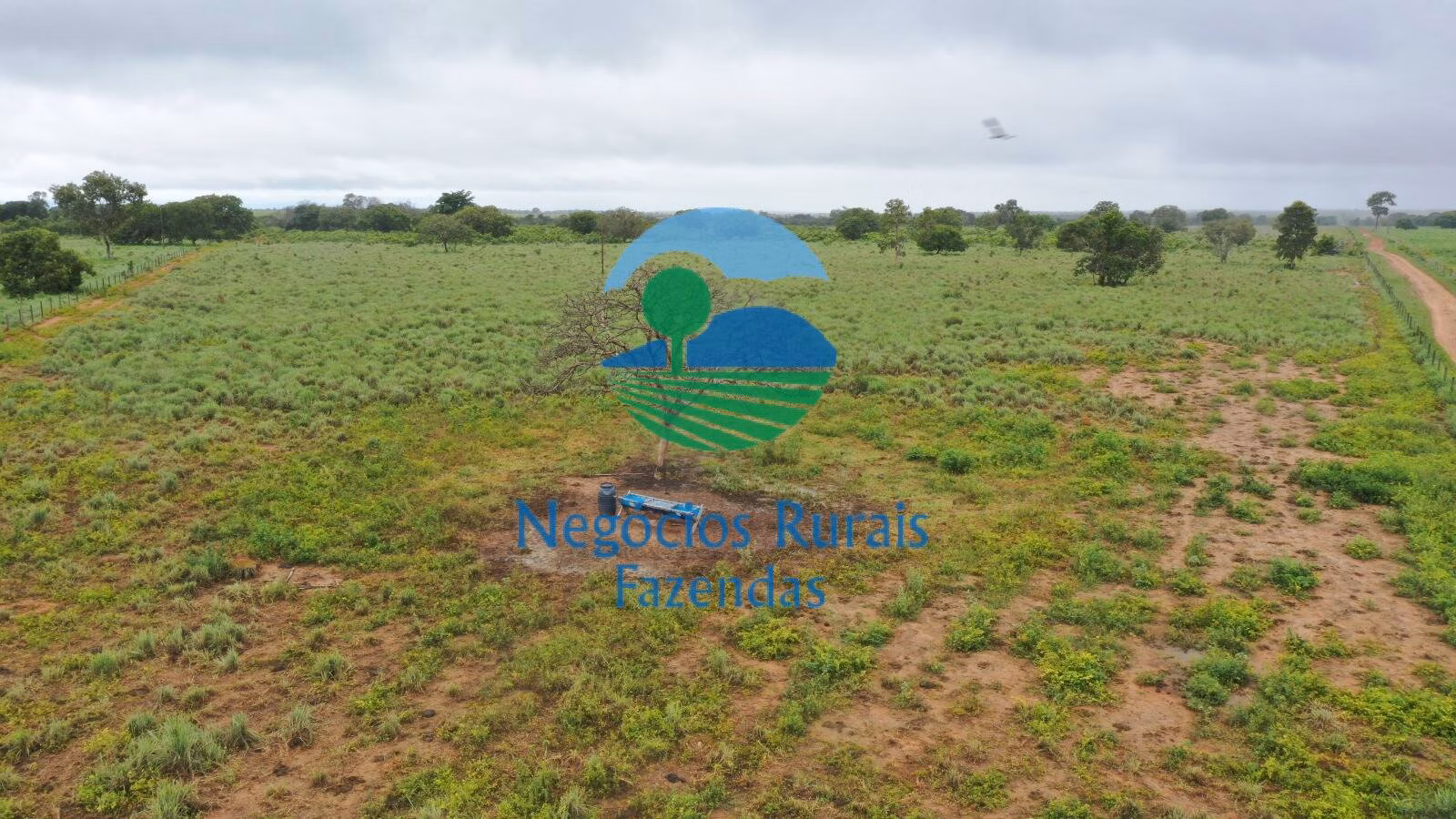 Fazenda de 1.258 ha em Peixe, TO