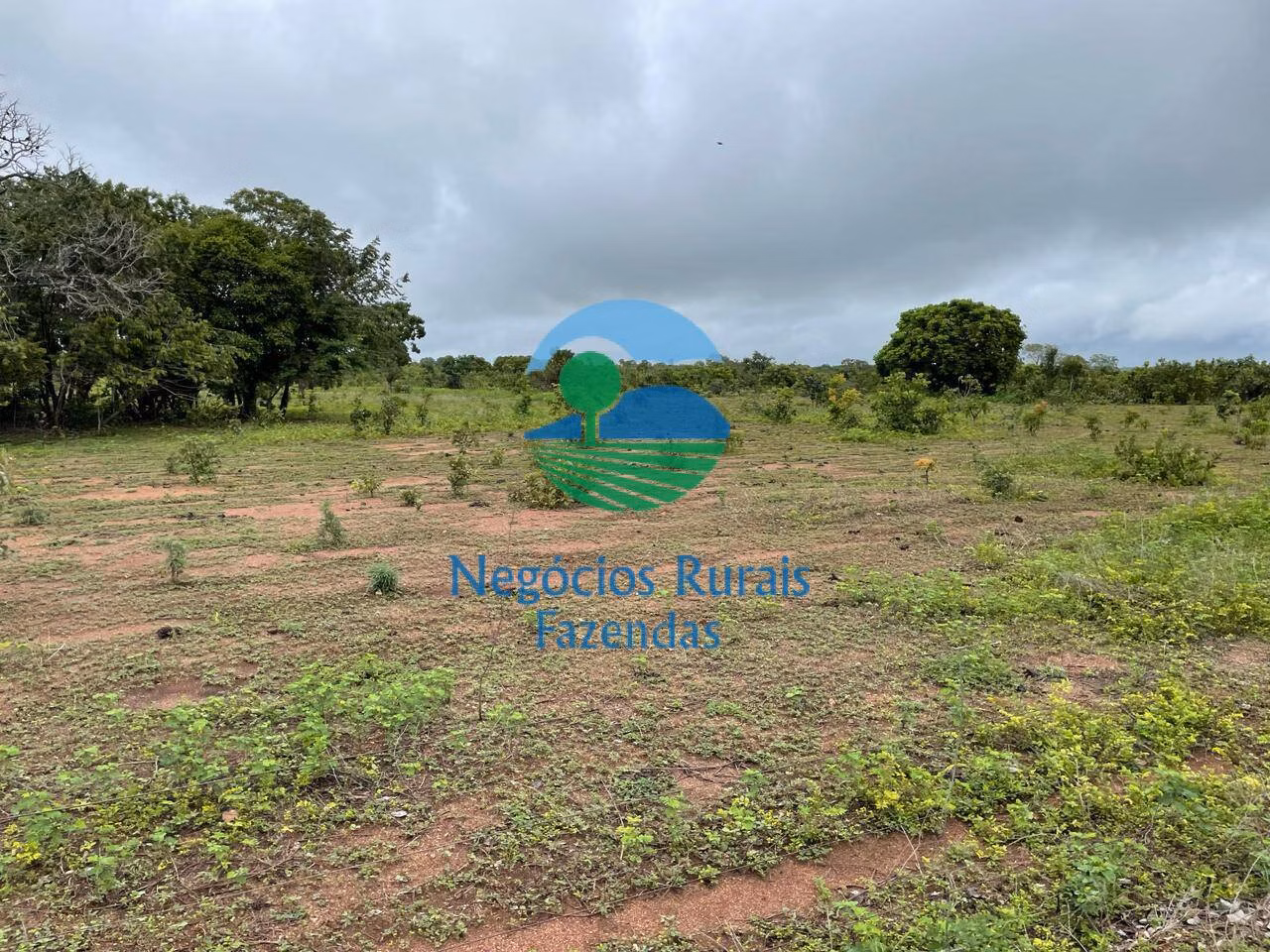 Fazenda de 1.258 ha em Peixe, TO