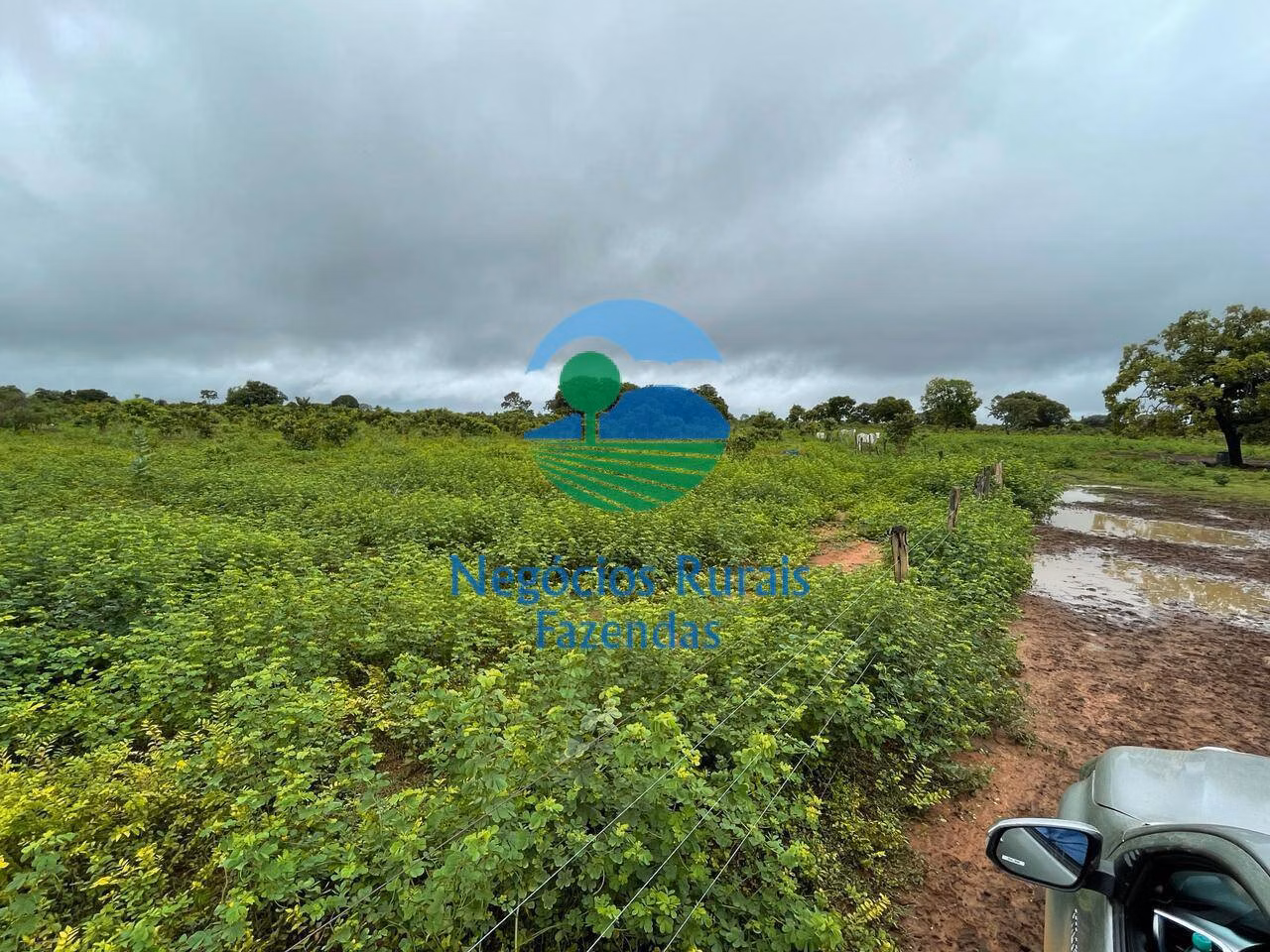 Fazenda de 1.258 ha em Peixe, TO