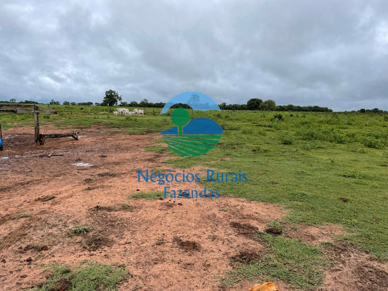 Fazenda de 1.258 ha em Peixe, TO