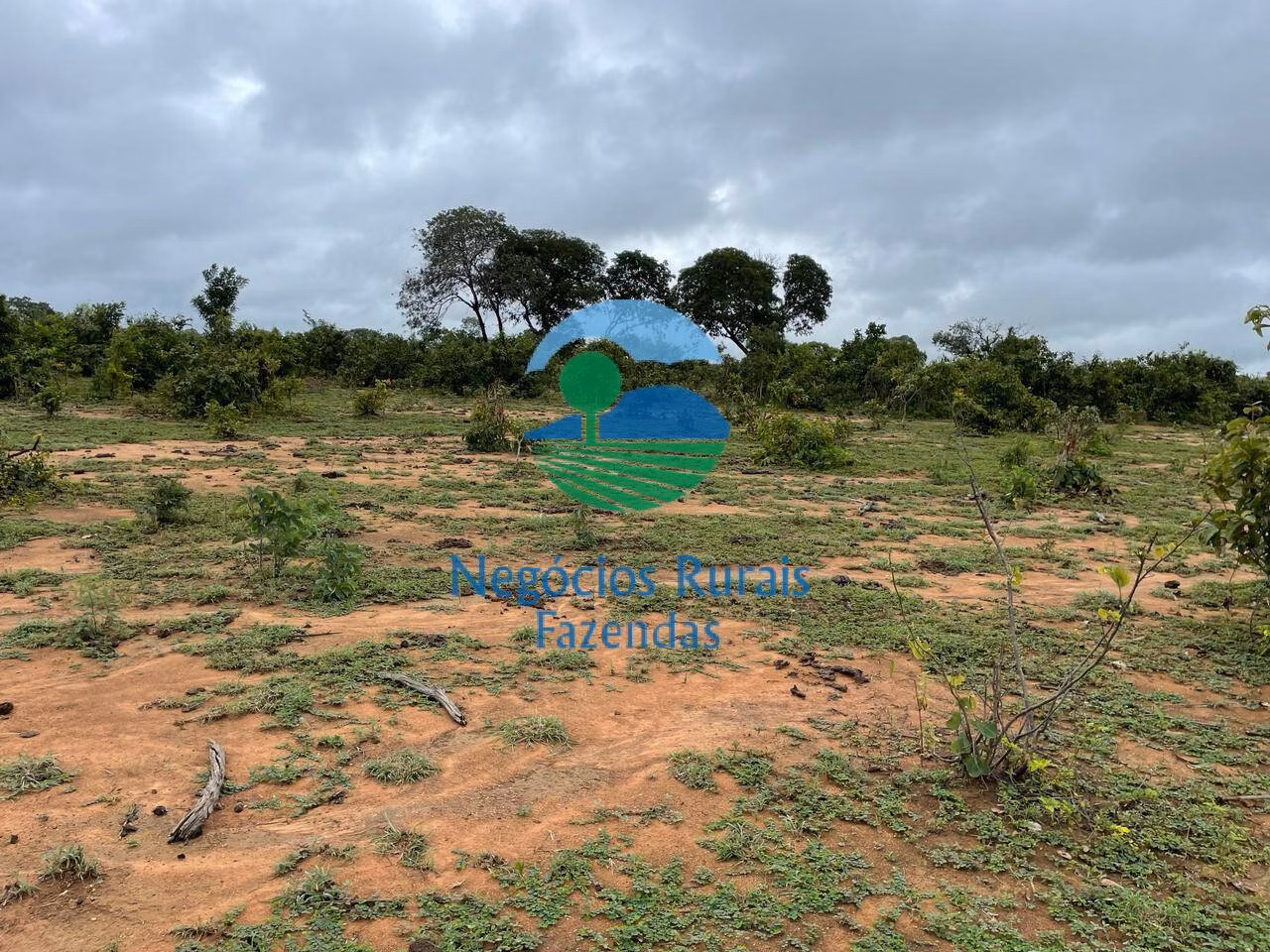 Fazenda de 1.258 ha em Peixe, TO