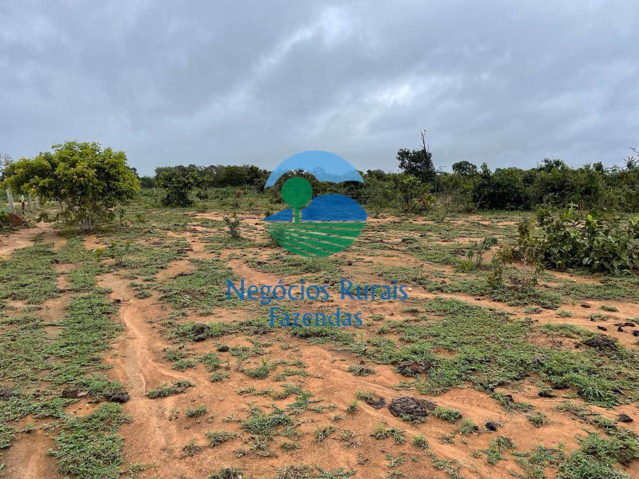 Fazenda de 1.258 ha em Peixe, TO