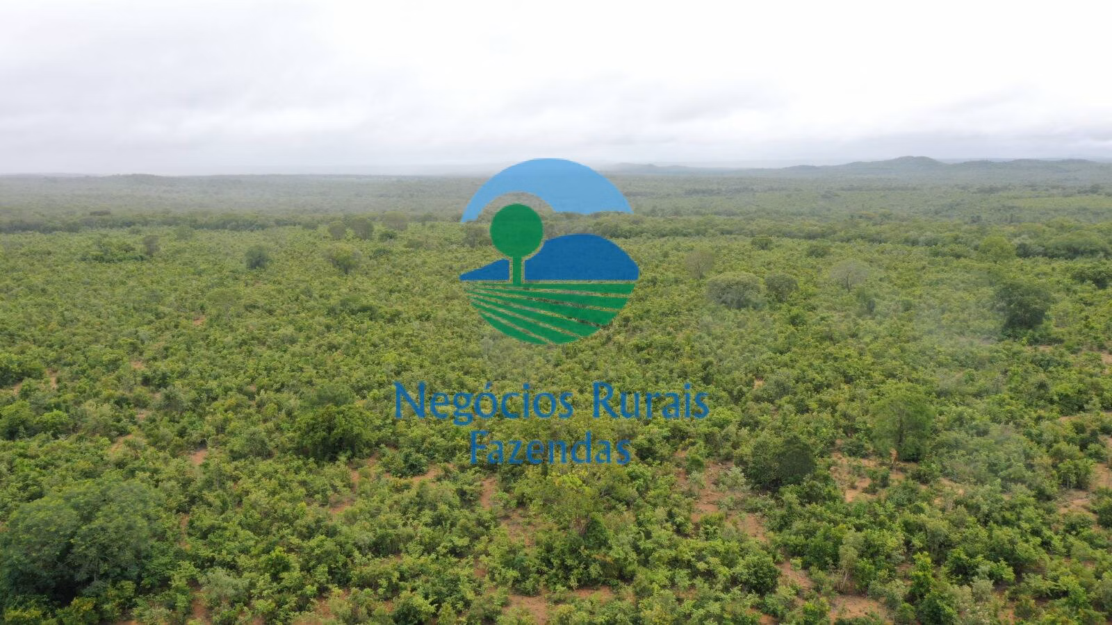 Fazenda de 1.258 ha em Peixe, TO