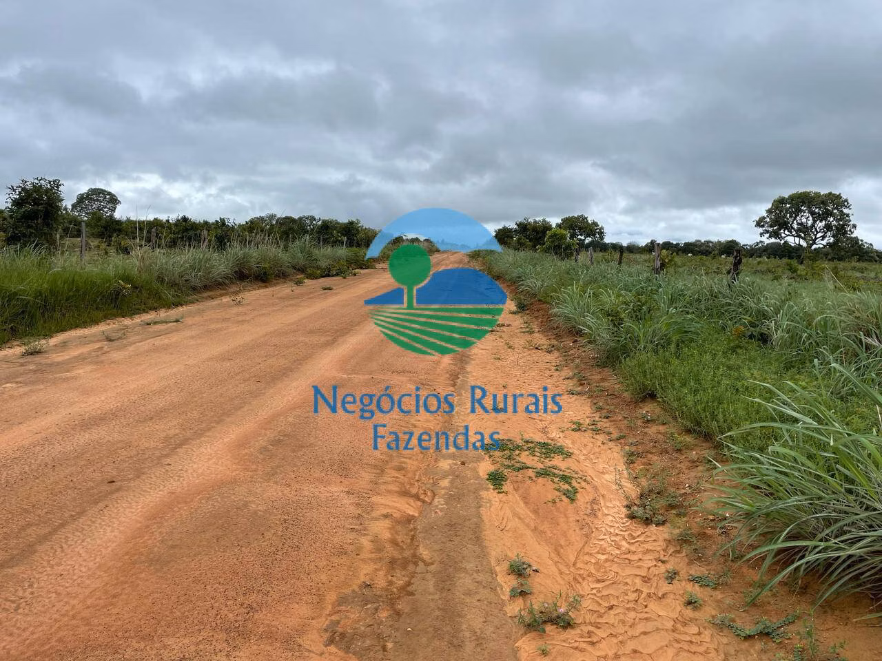 Fazenda de 1.258 ha em Peixe, TO