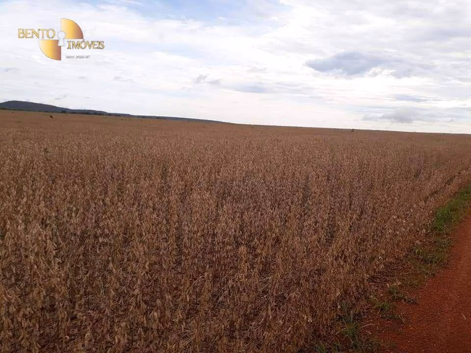 Fazenda de 7.725 ha em Rosário Oeste, MT