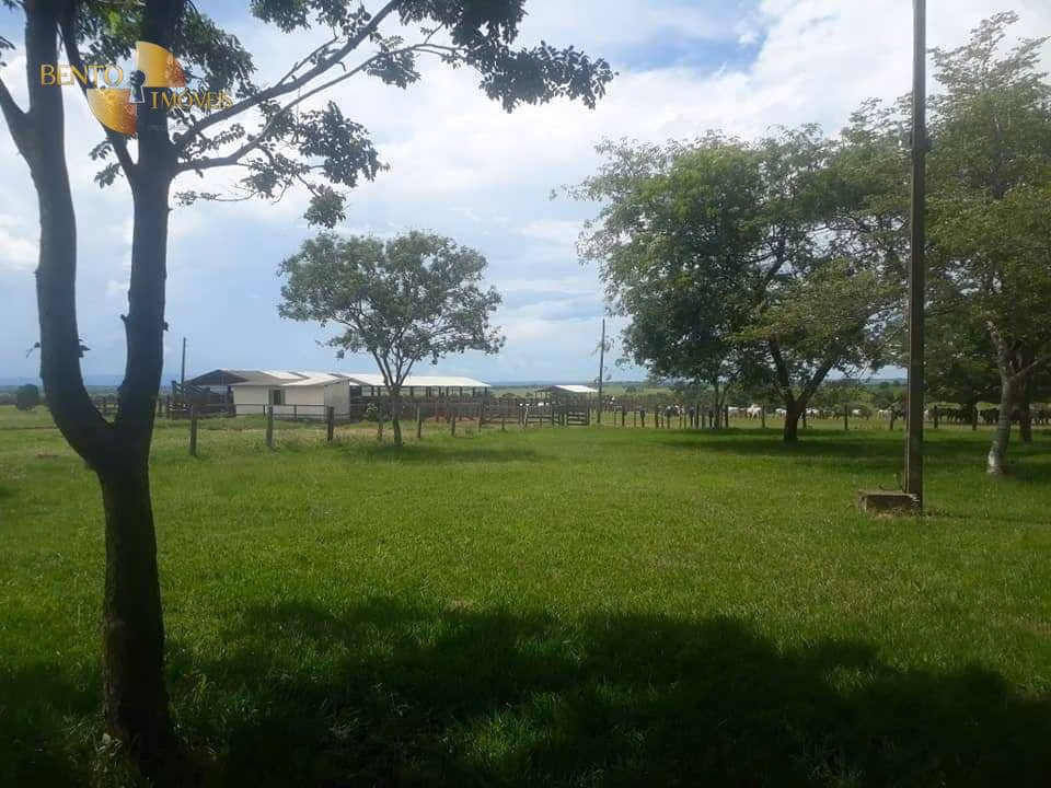 Farm of 19,089 acres in Rosário Oeste, MT, Brazil