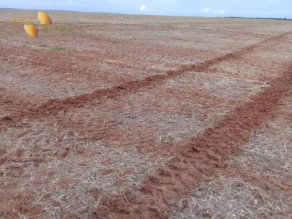 Farm of 19,089 acres in Rosário Oeste, MT, Brazil
