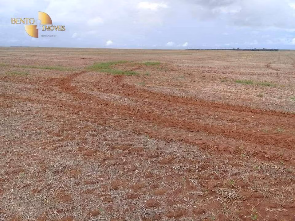 Farm of 19,089 acres in Rosário Oeste, MT, Brazil