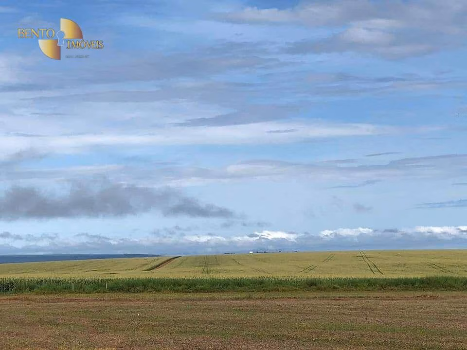 Farm of 19,089 acres in Rosário Oeste, MT, Brazil