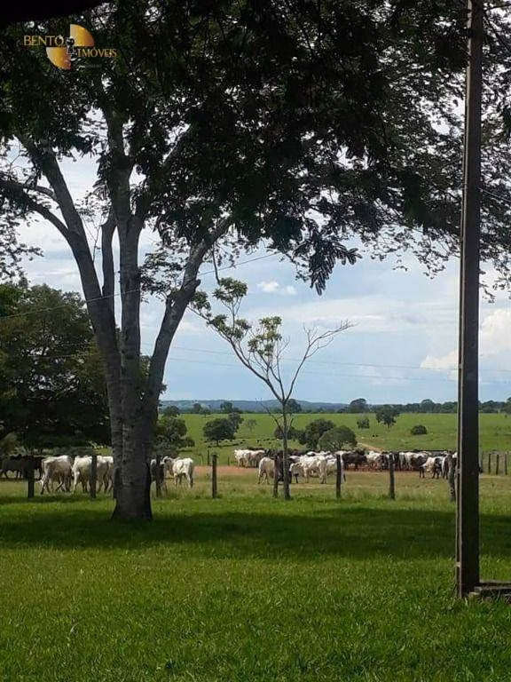 Farm of 19,089 acres in Rosário Oeste, MT, Brazil