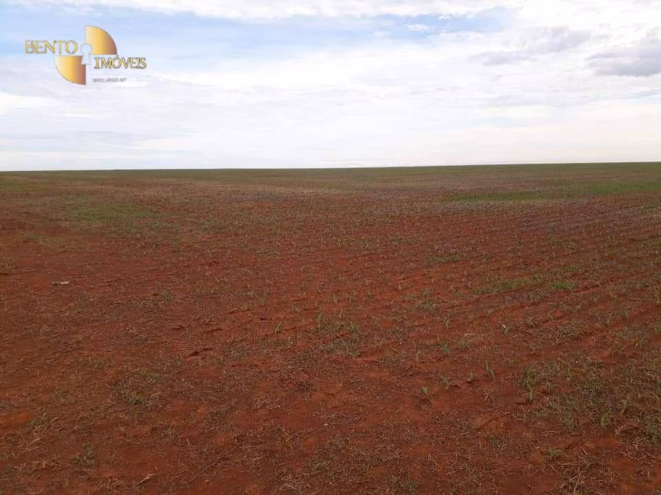 Farm of 19,089 acres in Rosário Oeste, MT, Brazil