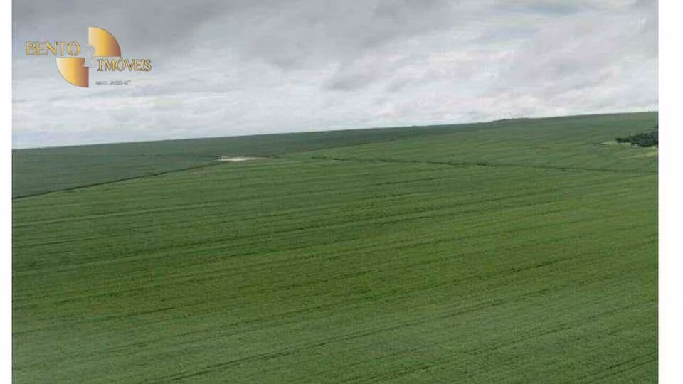 Farm of 19,089 acres in Rosário Oeste, MT, Brazil