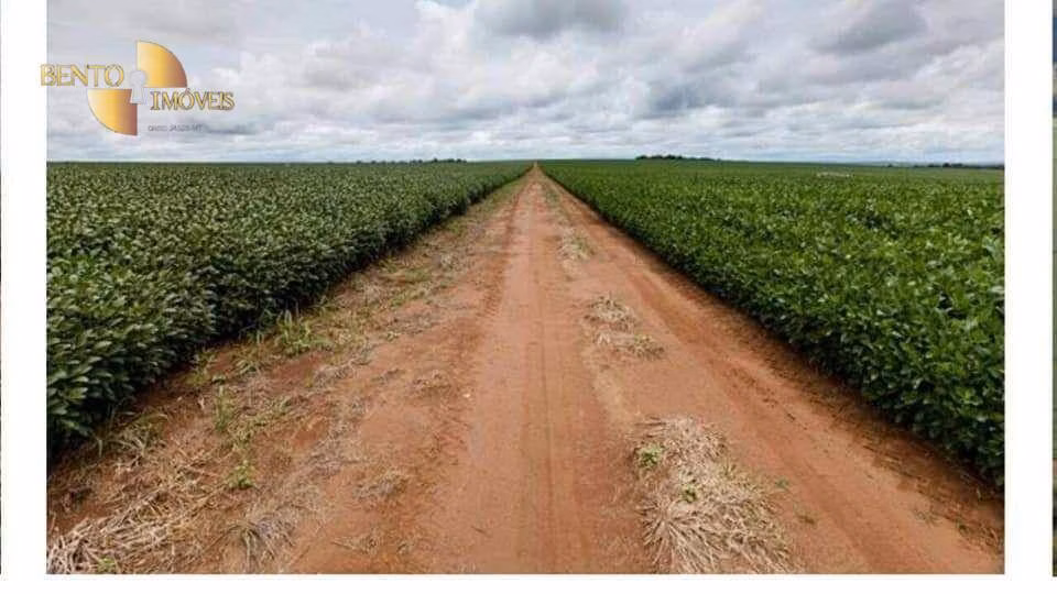 Farm of 19,089 acres in Rosário Oeste, MT, Brazil