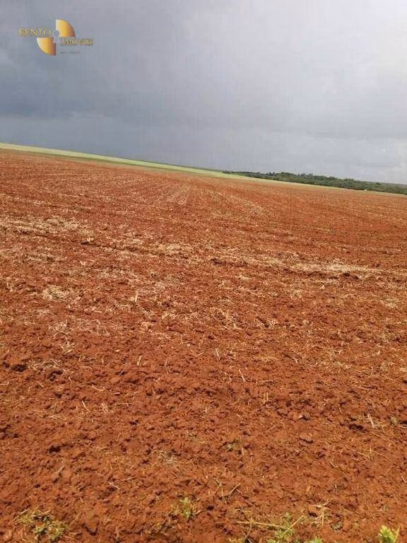 Farm of 19,089 acres in Rosário Oeste, MT, Brazil